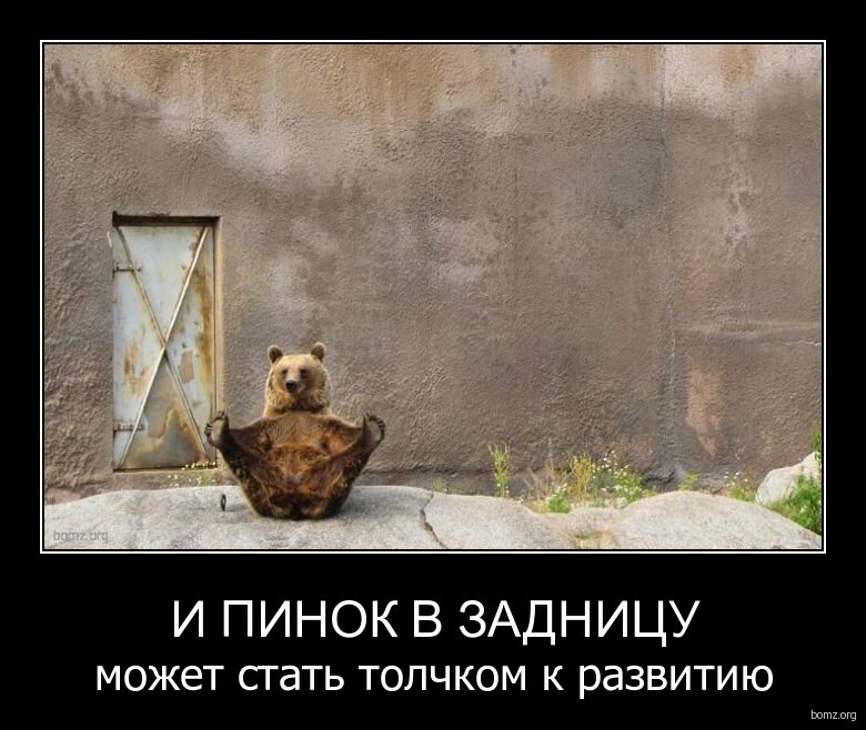 941375-2012.02.07-05.23.38-bomz.org-demotivator_i_pinok_v_zadnicu_mojet_stat_tolchkom_k_razvitiyu